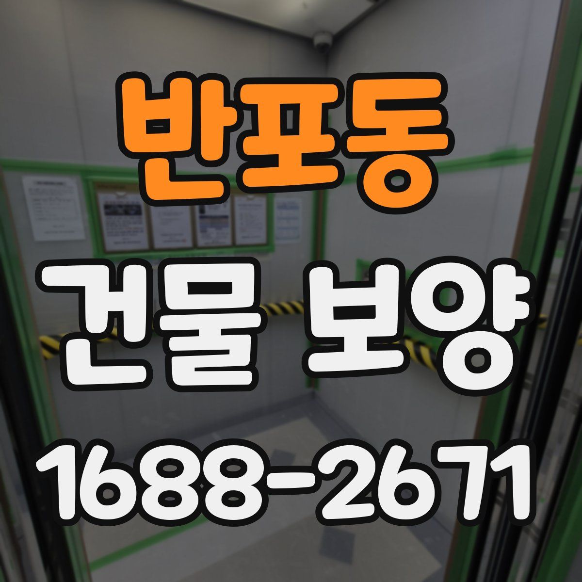 반포동 건물 보양