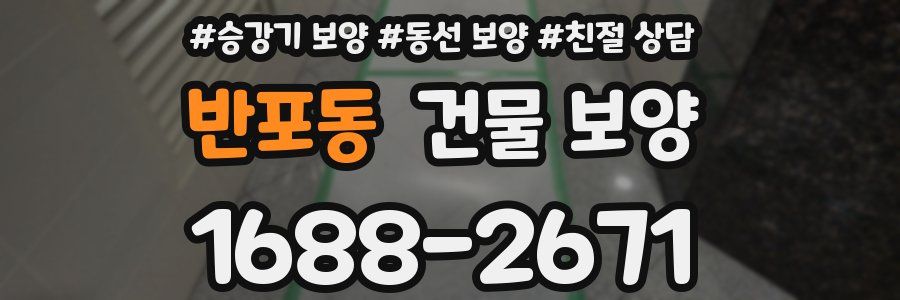 반포동 건물 보양