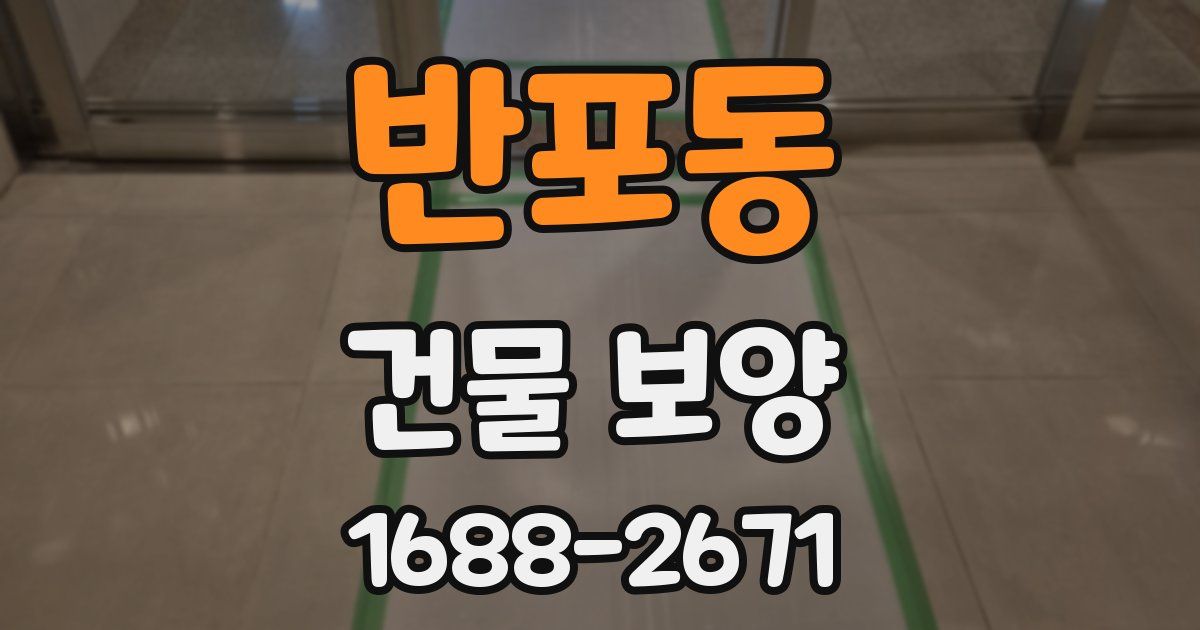 반포동 건물 보양
