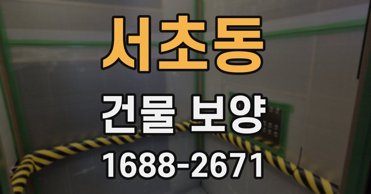 서초동 건물 보양
