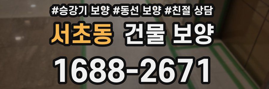서초동 건물 보양