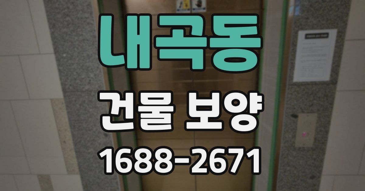내곡동 건물 보양