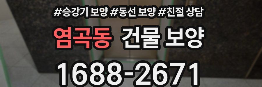 염곡동 건물 보양