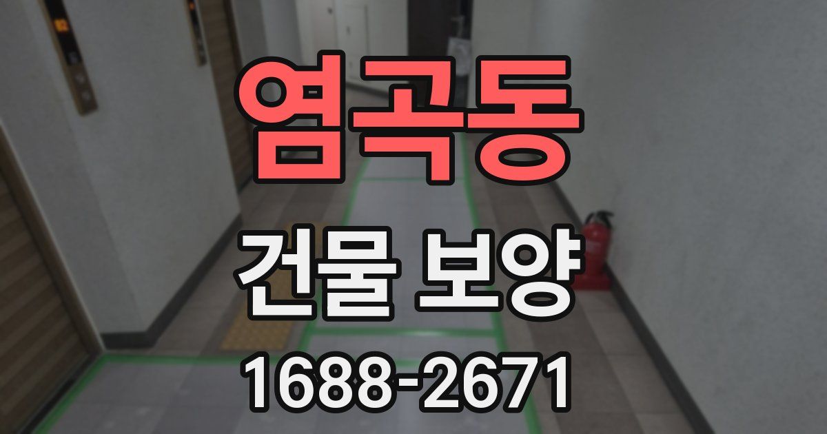 염곡동 건물 보양