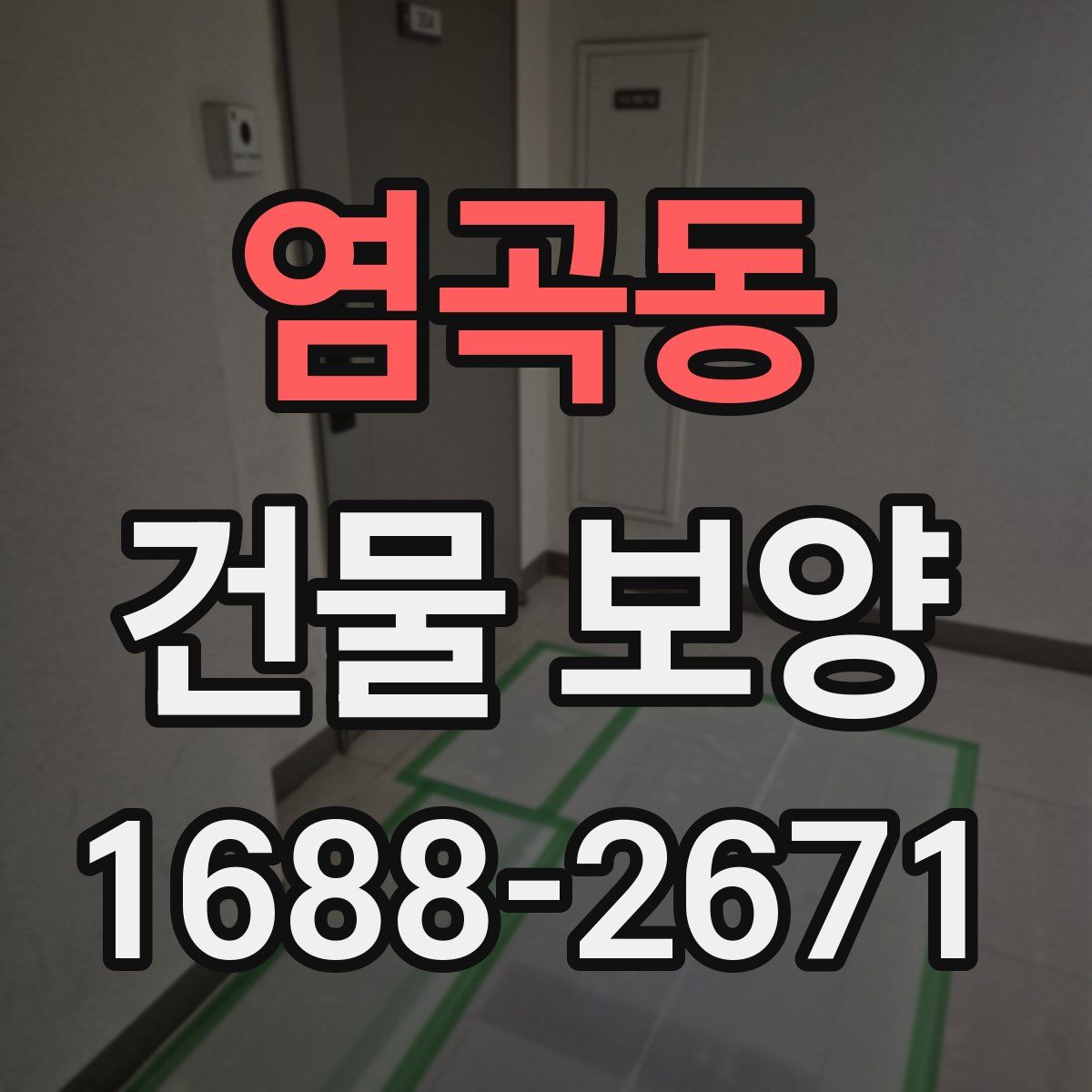 염곡동 건물 보양