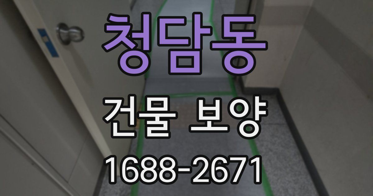 청담동 건물 보양