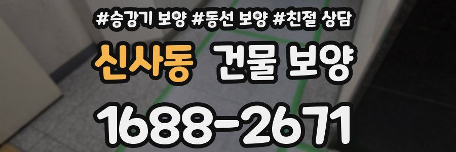 신사동 건물 보양