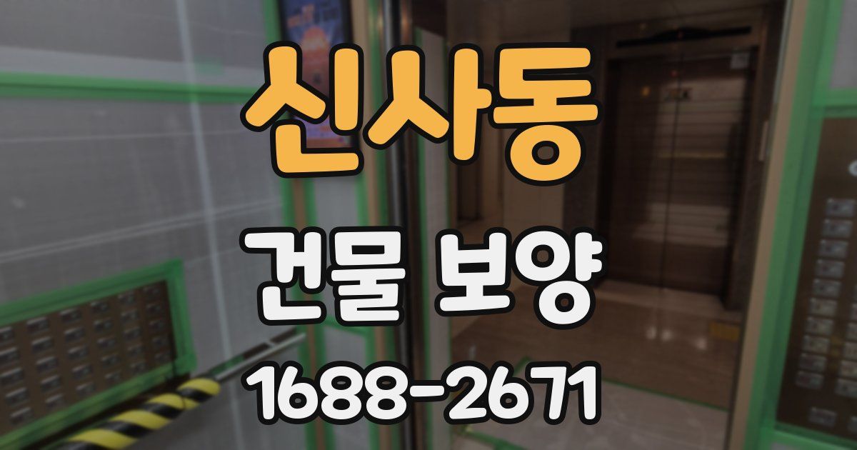 신사동 건물 보양