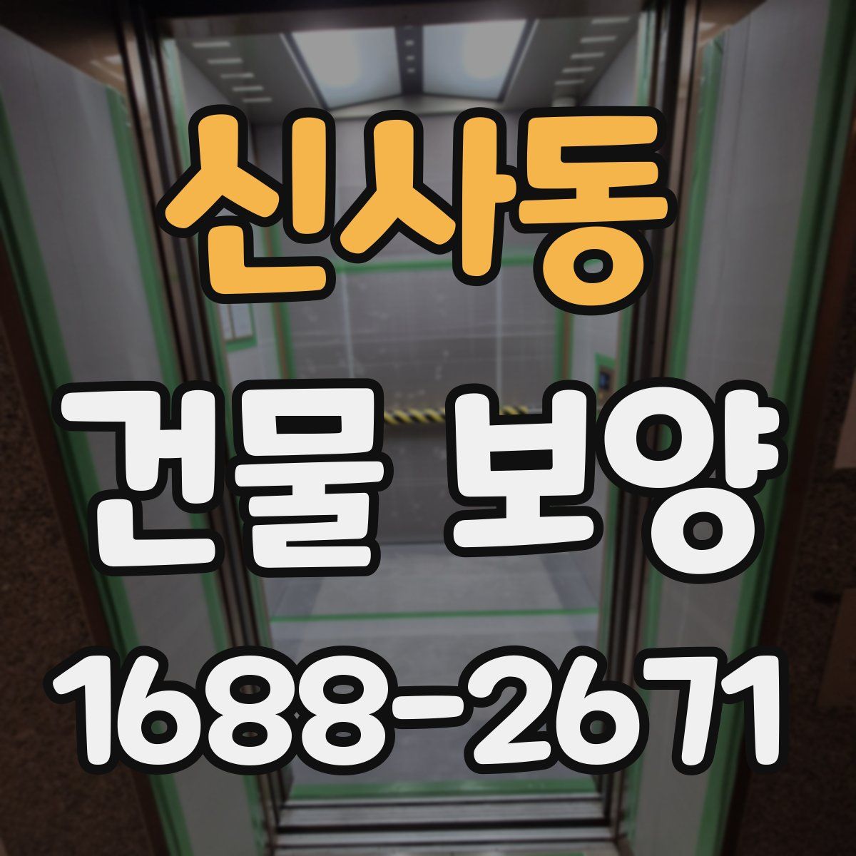 신사동 건물 보양