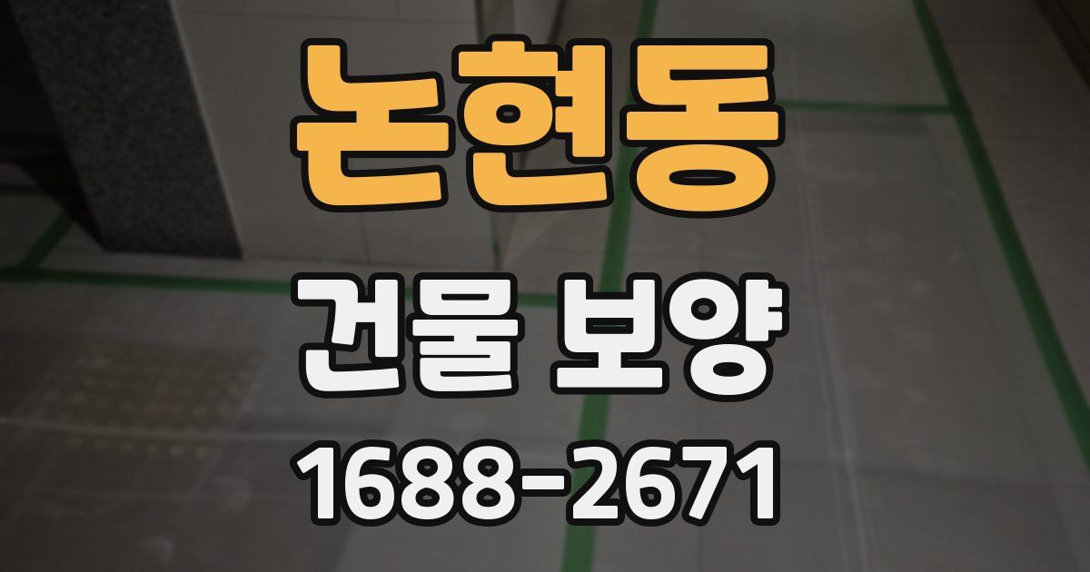 논현동 건물 보양