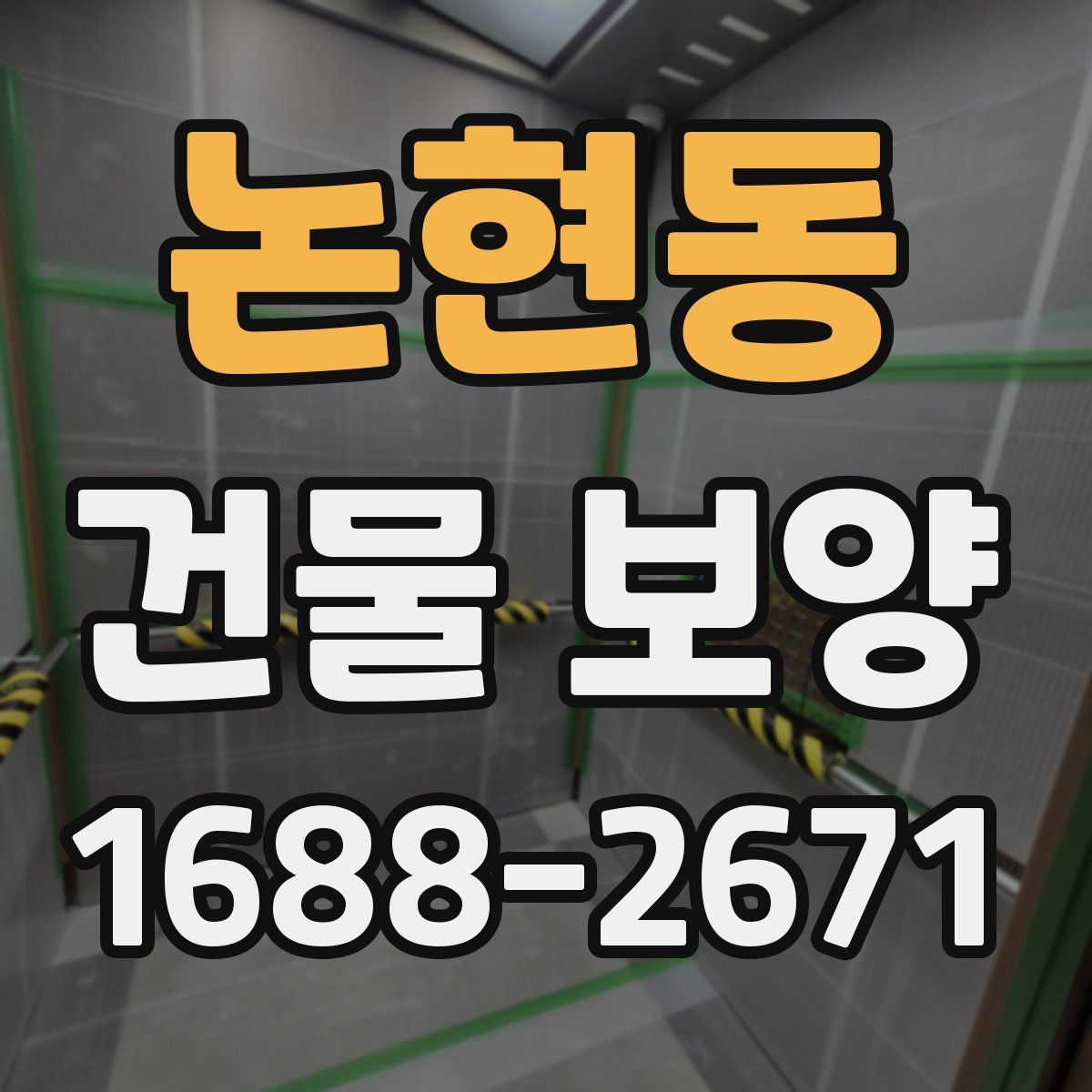 논현동 건물 보양