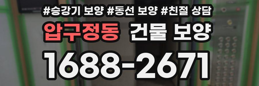 압구정동 건물 보양