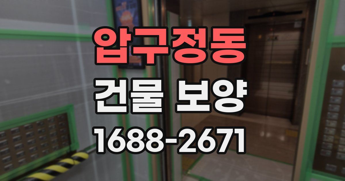 압구정동 건물 보양