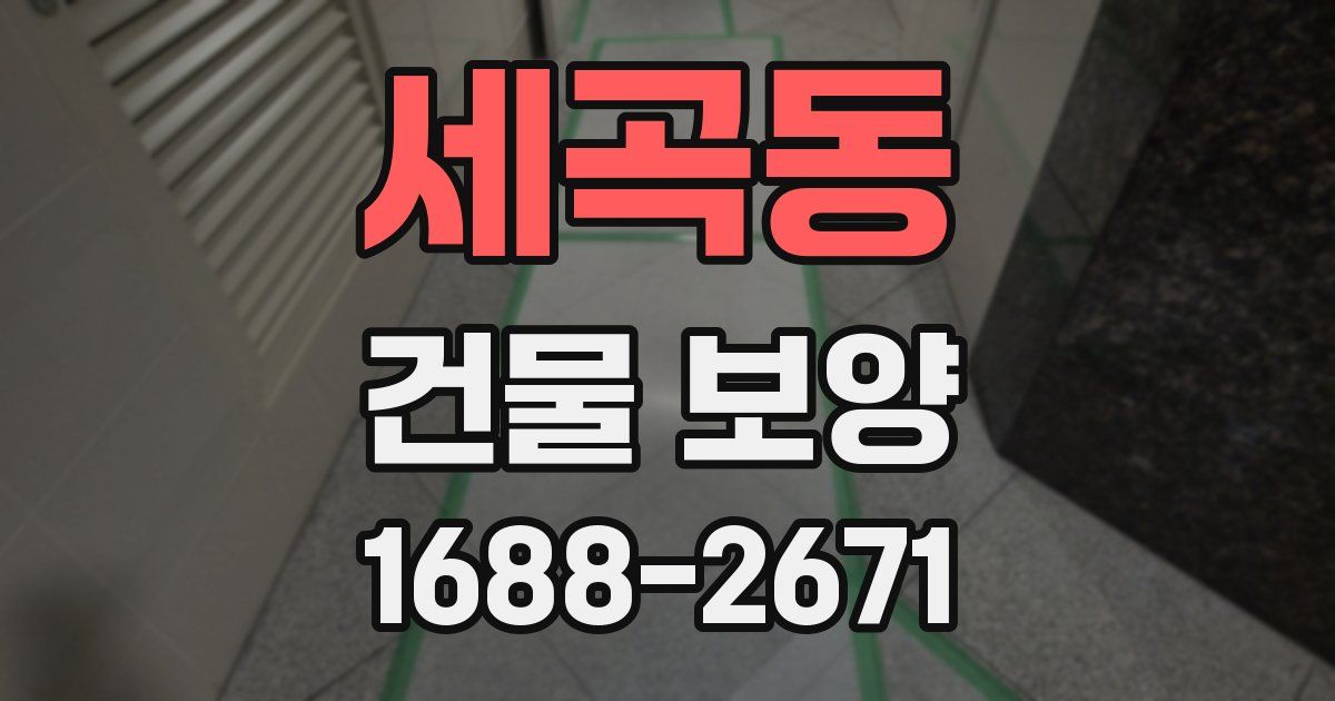 세곡동 건물 보양