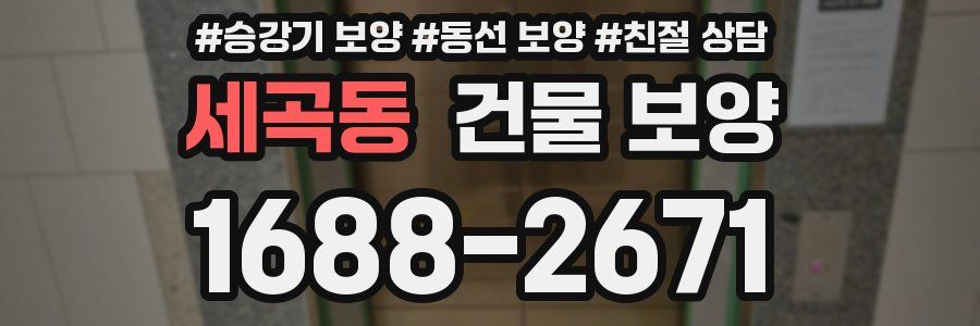 세곡동 건물 보양