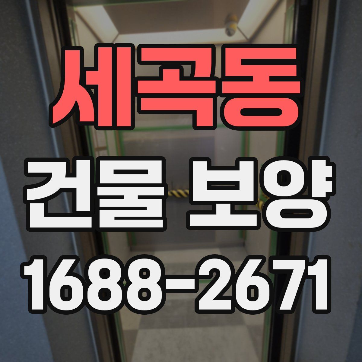 세곡동 건물 보양