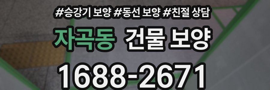 자곡동 건물 보양