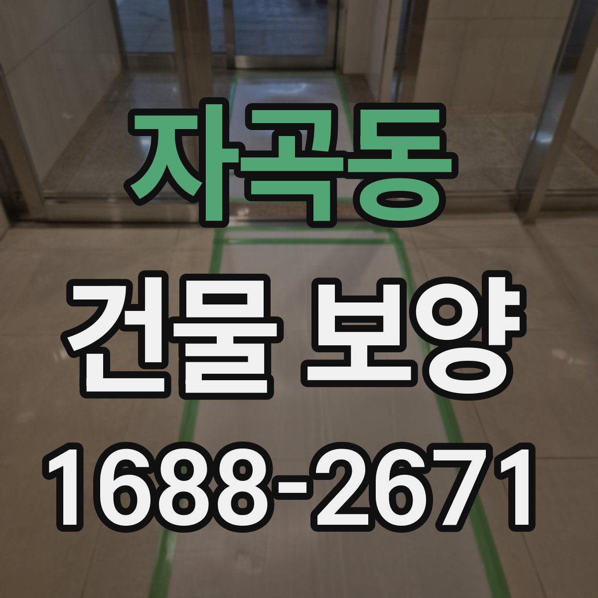 자곡동 건물 보양