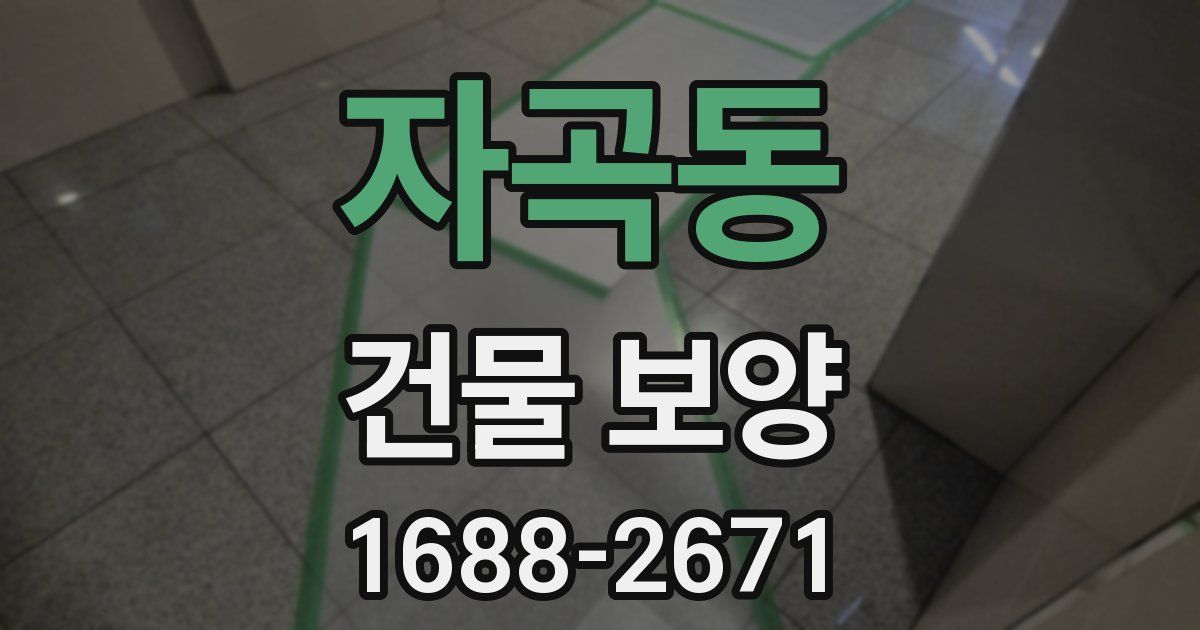 자곡동 건물 보양