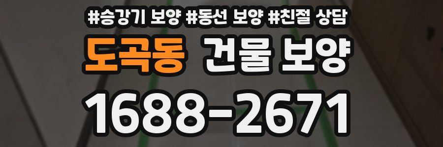 도곡동 건물 보양