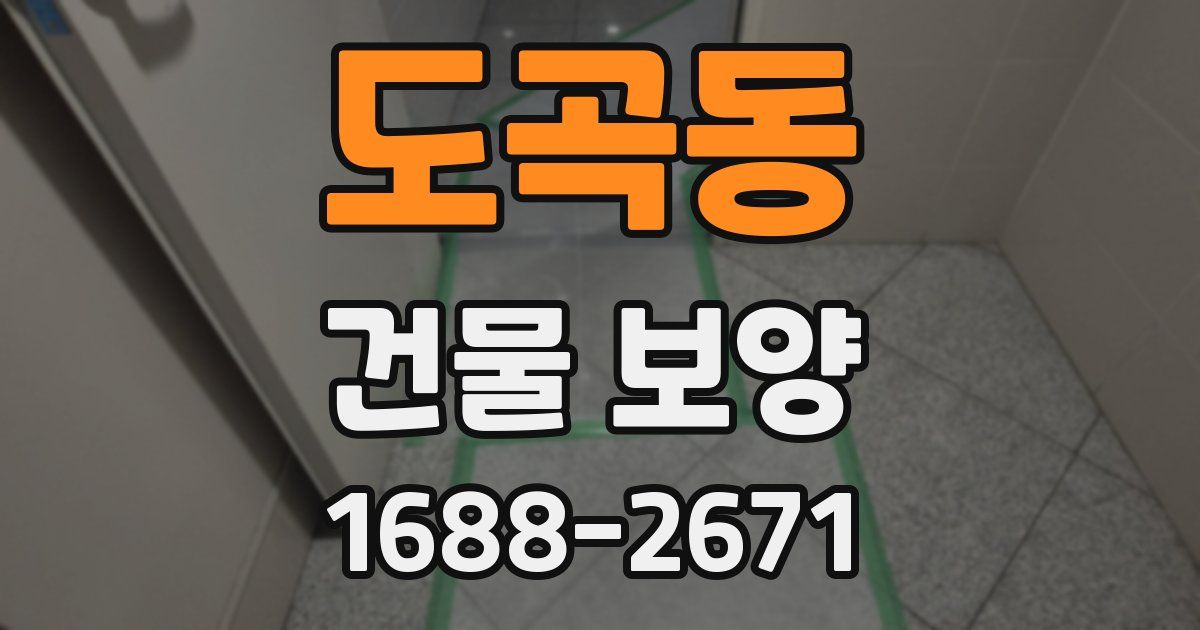 도곡동 건물 보양