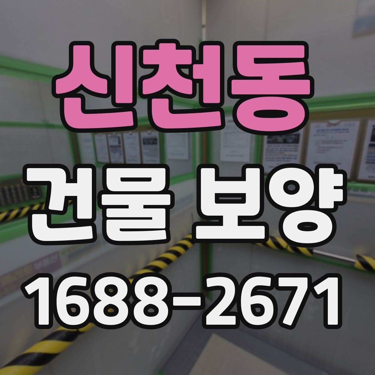 신천동 건물 보양