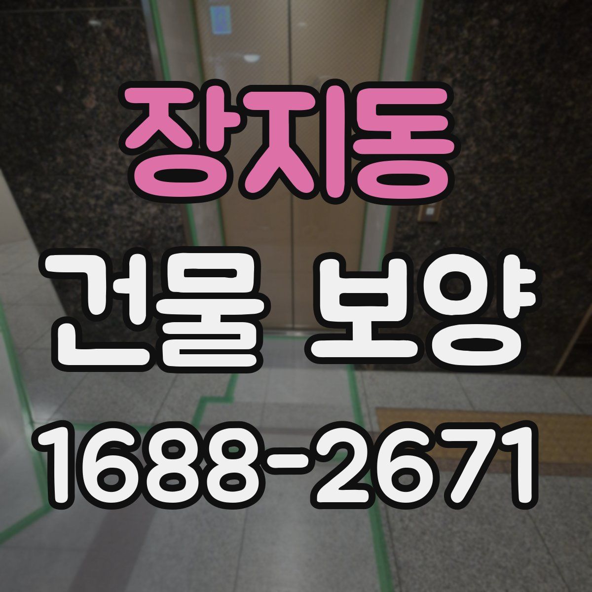 장지동 건물 보양