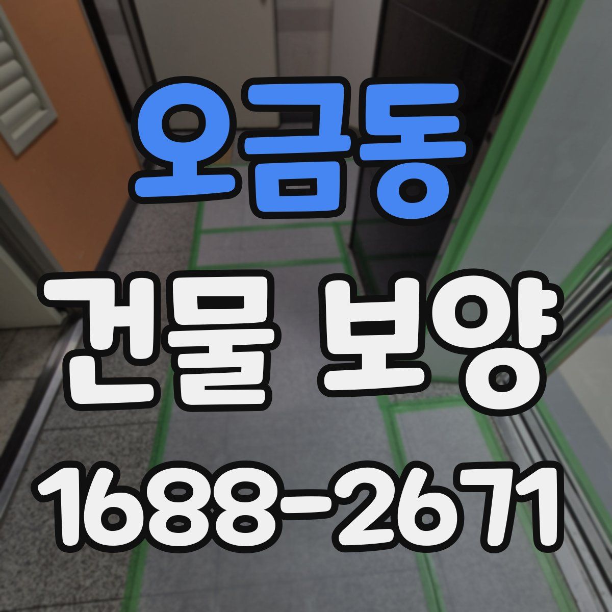 오금동 건물 보양