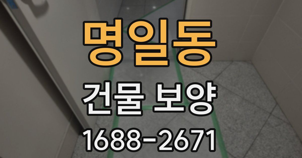 명일동 건물 보양