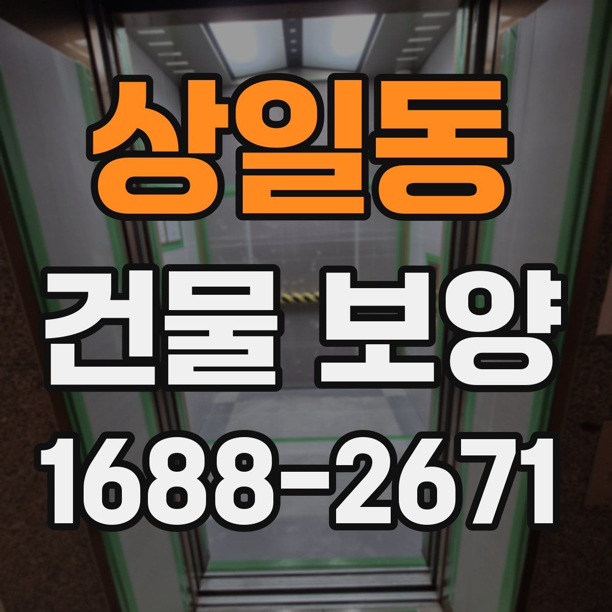 상일동 건물 보양