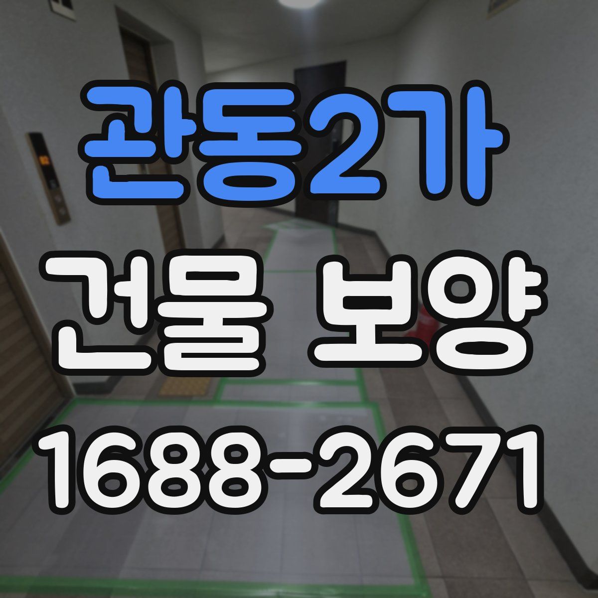 관동2가 건물 보양