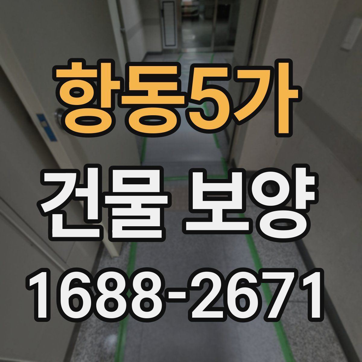 항동5가 건물 보양