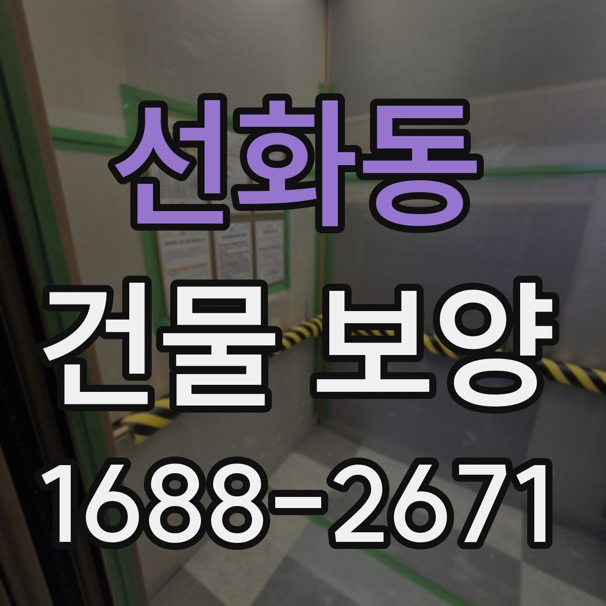 선화동 건물 보양