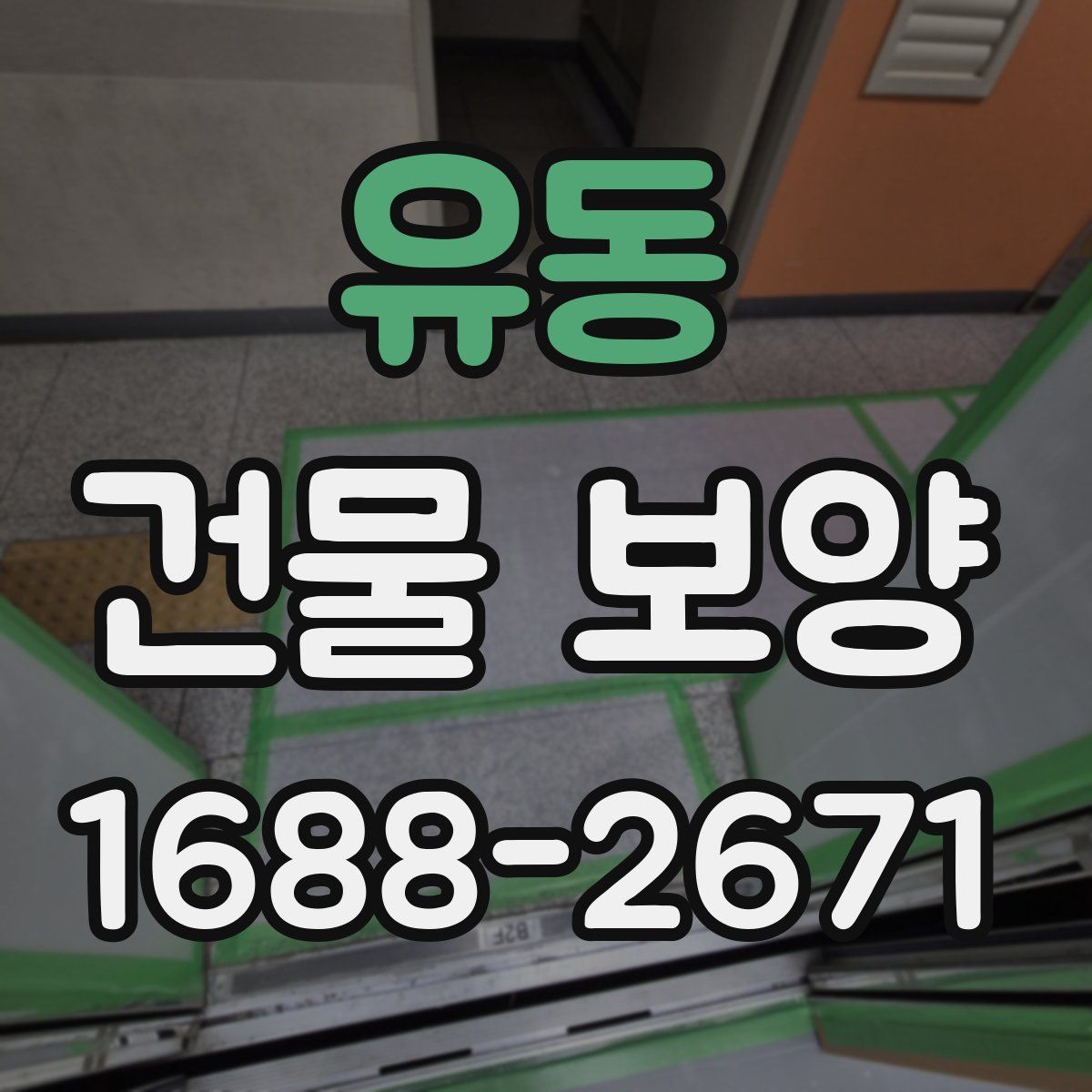 유동 건물 보양