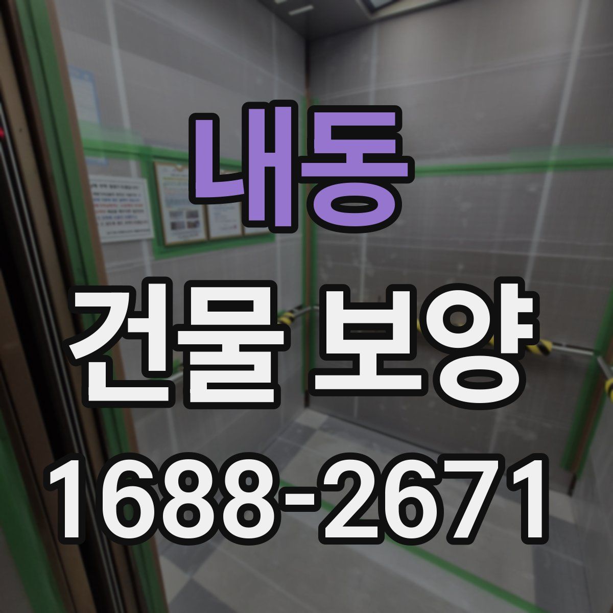 내동 건물 보양