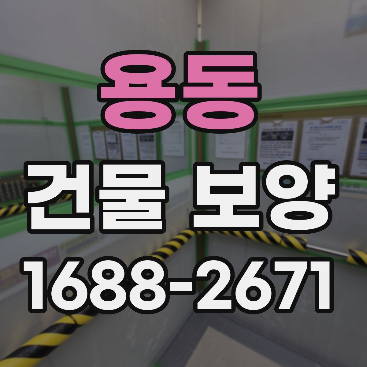 용동 건물 보양