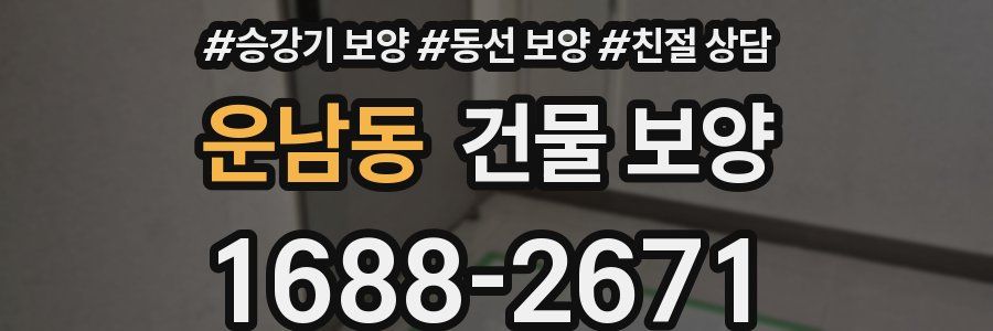 운남동 건물 보양