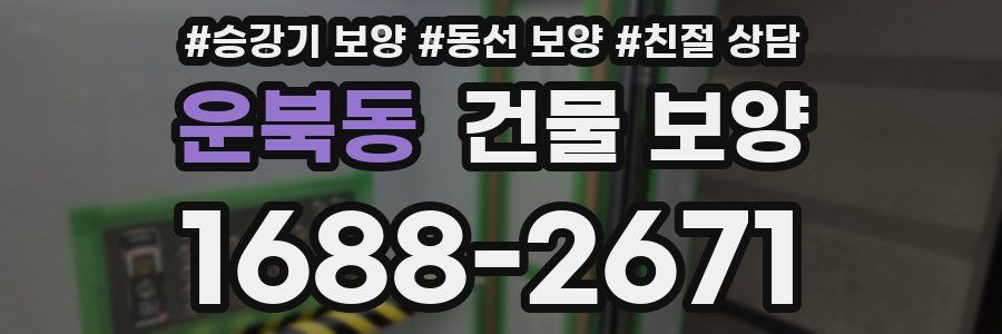 운북동 건물 보양
