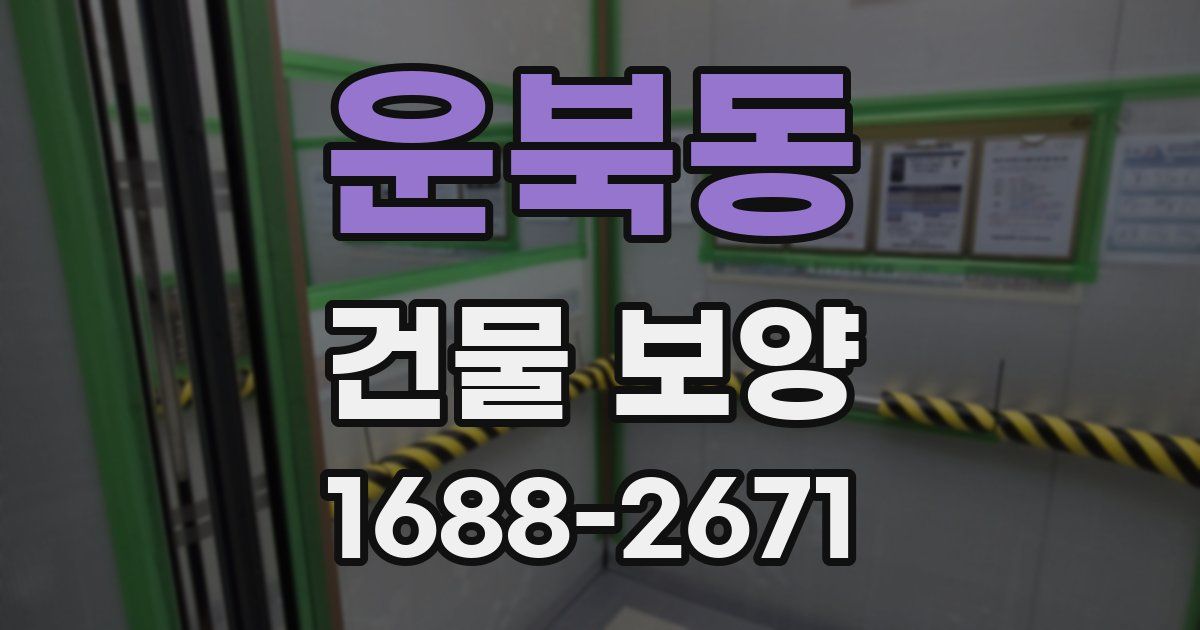 운북동 건물 보양