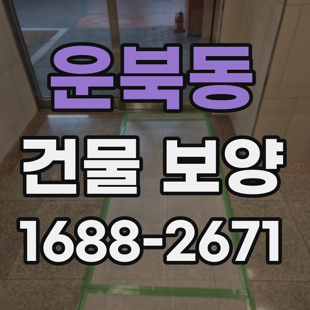 운북동 건물 보양