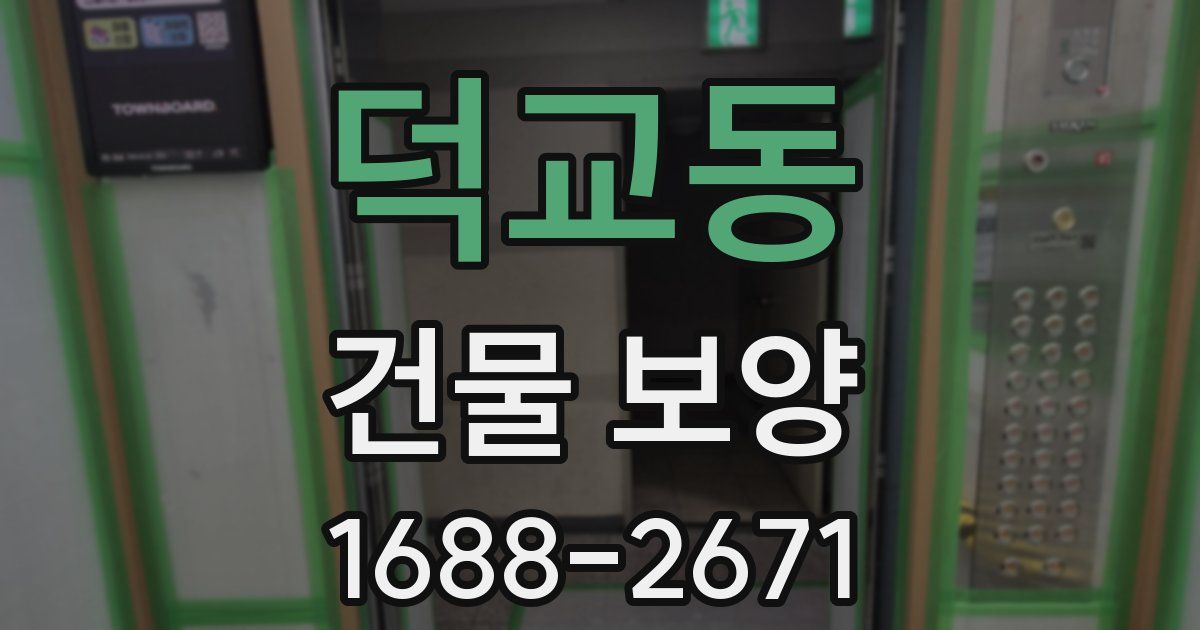 덕교동 건물 보양