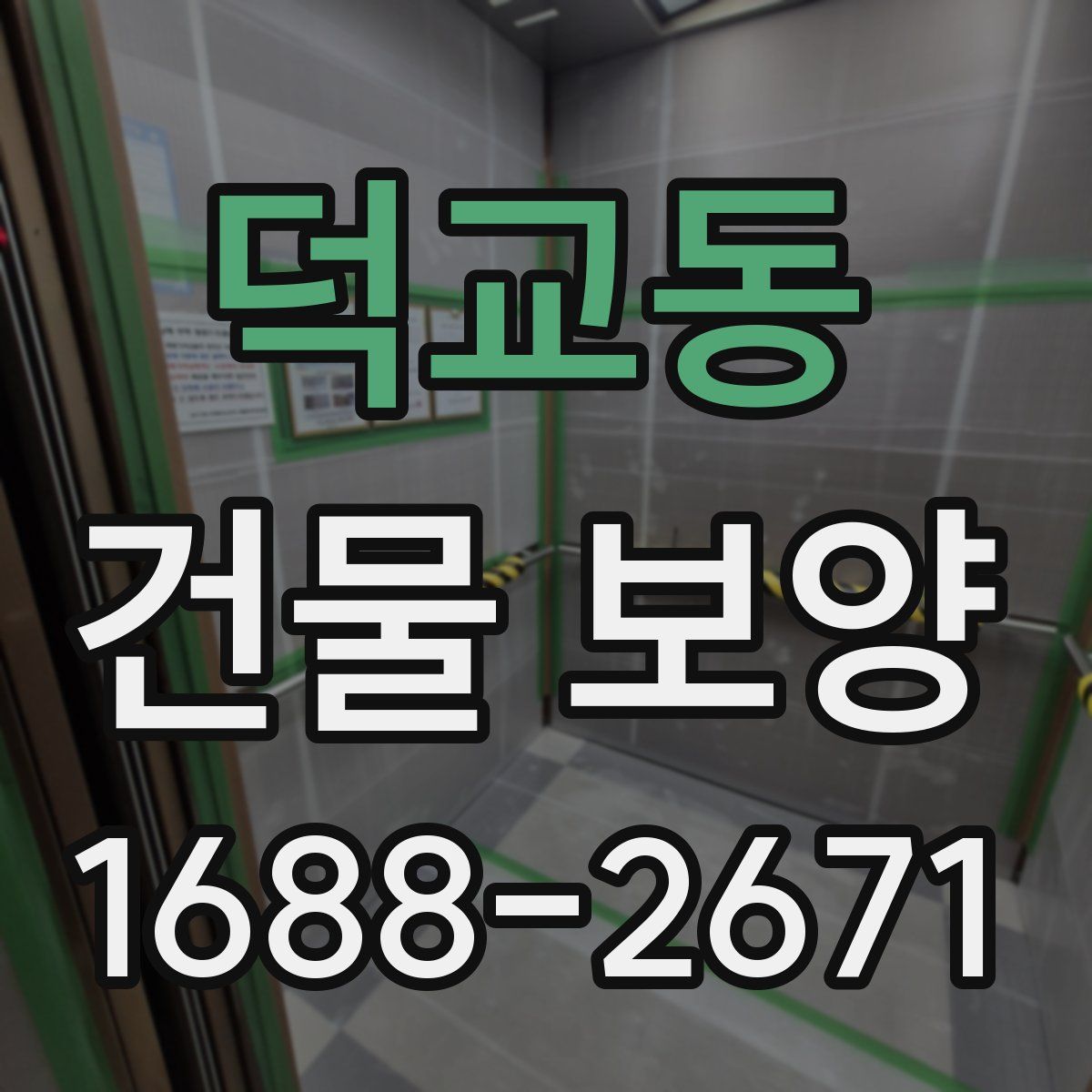 덕교동 건물 보양