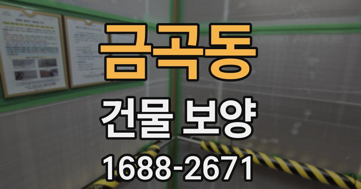 금곡동 건물 보양