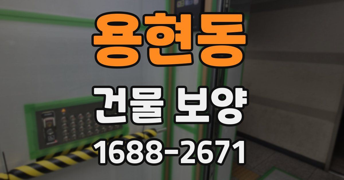 용현동 건물 보양