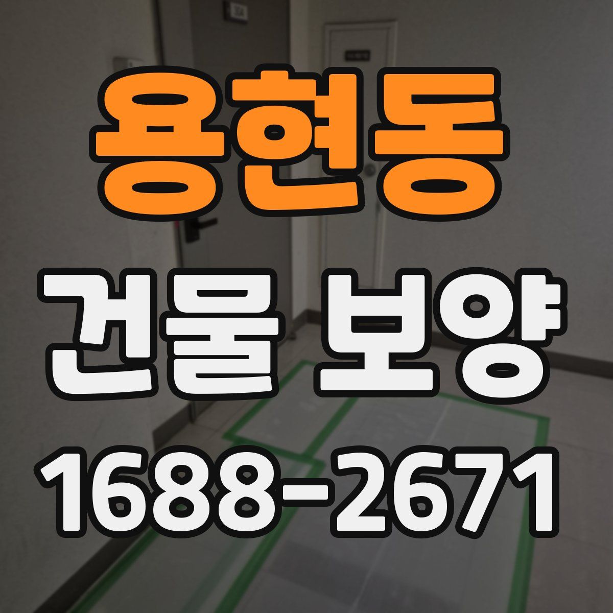 용현동 건물 보양
