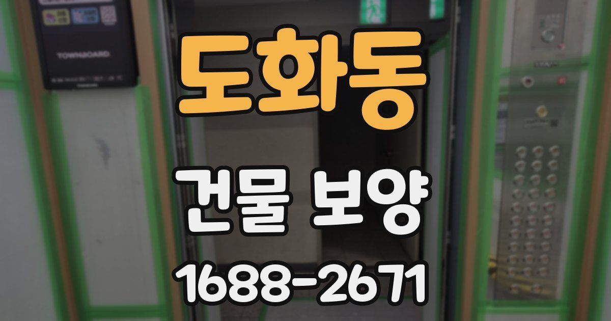 도화동 건물 보양