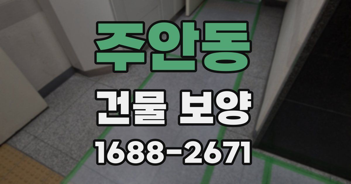 주안동 건물 보양