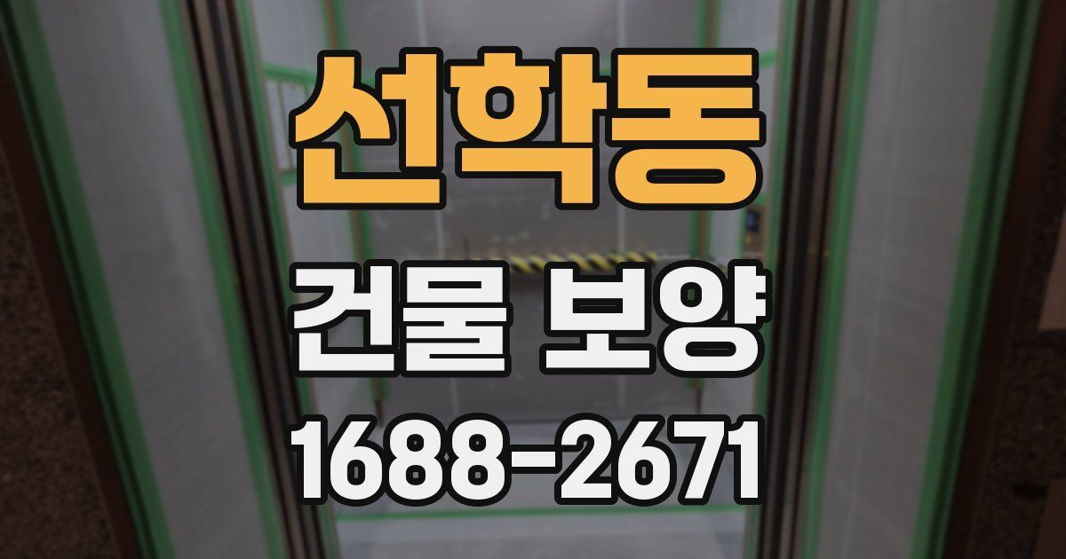 선학동 건물 보양