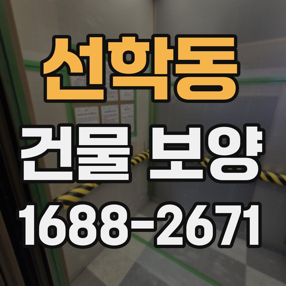 선학동 건물 보양