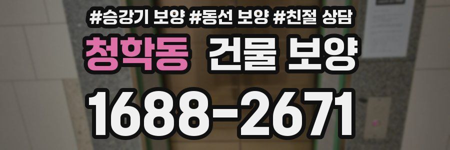 청학동 건물 보양